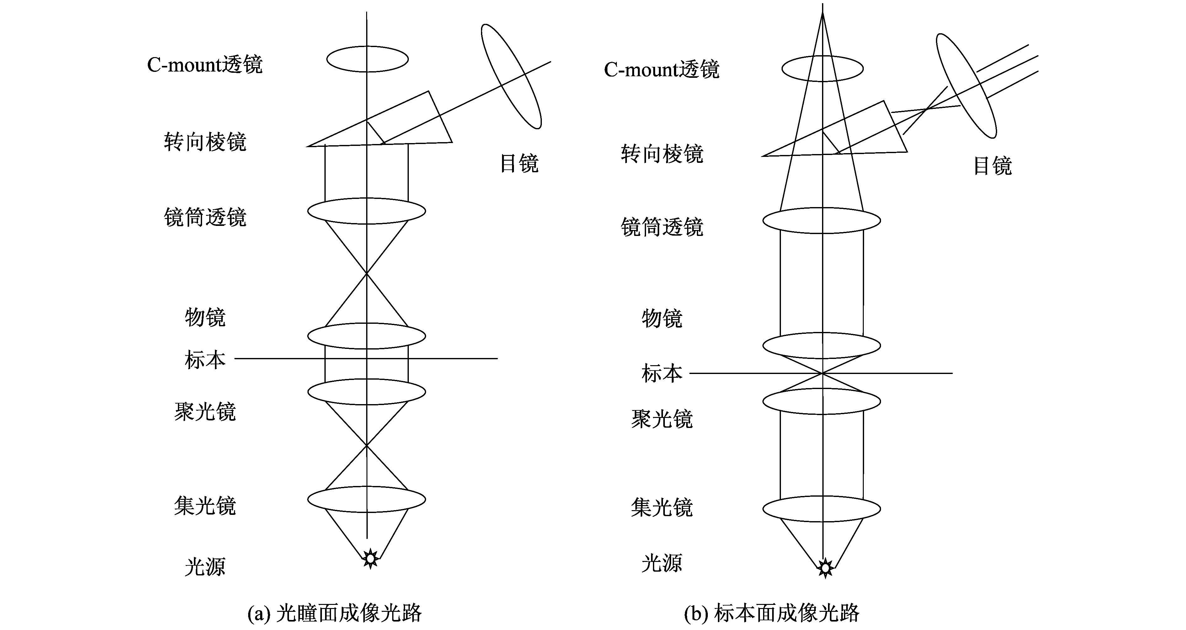 Microscopic process comparison diagram